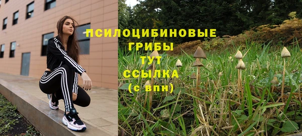 spice Волосово