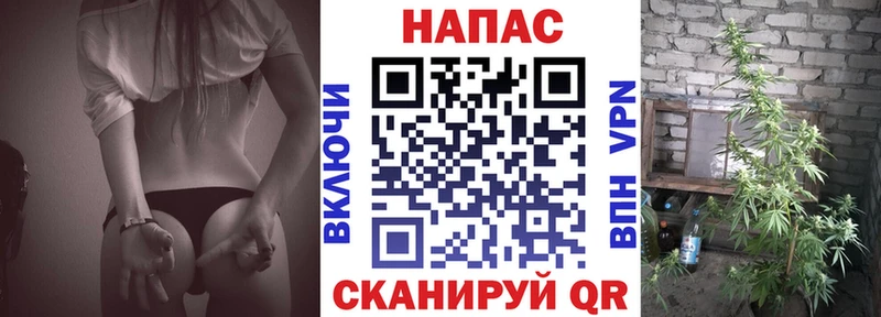 Марихуана Bruce Banner Казань